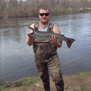 Meet your Posher, David